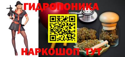 крисы Краснознаменск