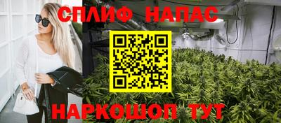 крисы Краснознаменск