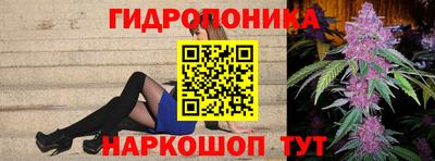крисы Краснознаменск