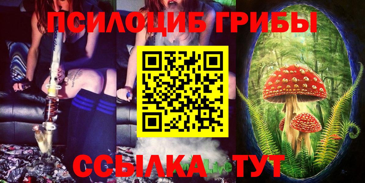 Псилоцибиновые грибы Psilocybine cubensis Корсаков
