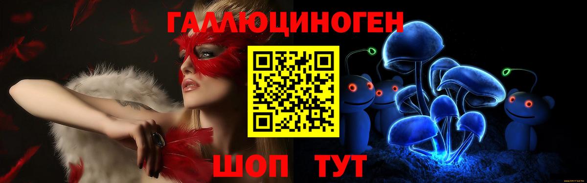Галлюциногенные грибы Psilocybe  Вход с VPN  Корсаков 